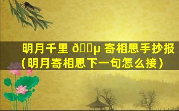 明月千里 🌵 寄相思手抄报（明月寄相思下一句怎么接）